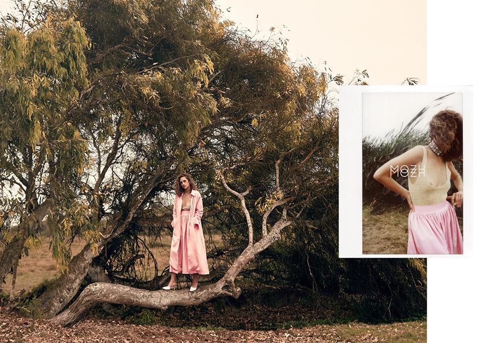 15241137_1823347874545622_1617063383187838745_n